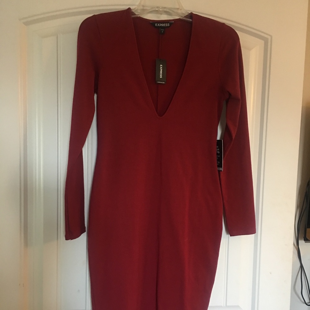 NWT Express form fitting dress